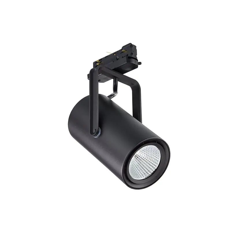 Philips spotlight skena