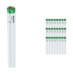 Flerpack 25x Philips MASTER TL-D Actinic BL 15W - Ultraviolett | 44cm