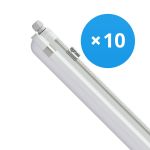 Flerpack 10x Philips LED Allmänbruksarmatur Vattentät CoreLine WT120C G2 42.9W 6000lm - 840 Kallvit | 150cm 