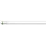 Philips MASTER LED Tube T8 (EM/Mains) Ultra Efficiency 17.6W 3700lm - 865 Dagsljus | 150cm - Ersättare 58W