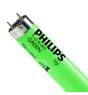 Philips MASTER TL-D 58W - Grön | 150cm