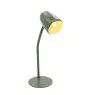 Eglo Bordslampa Carlo Stål Grön | Passande för 1x E14