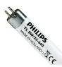 Philips T5 Short 8W - 640 Kallvit | 29cm
