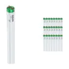 Flerpack 25x Philips MASTER TL-D Actinic BL 15W - Ultraviolett | 44cm
