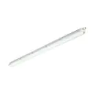 Philips LED Allmänbruksarmatur Vattentät CoreLine WT120C Gen2 25/43W 3700/6000lm - 840 Kallvit | 150cm