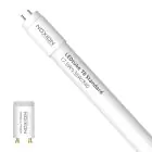 Noxion LED Rör T8 Avant (EM/Mains) Standard Output 15W 1800lm - 840 Kallvit | 120cm - Ersättare 36W