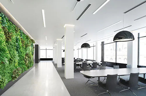 Switch to LED business